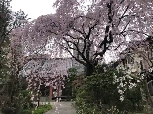 徳泉寺の{uncategorized: "未分類", other: "その他", undefined: "問題あり", building: "その他建物", grave: "お墓", sacred_gate: "鳥居", guardian: "狛犬", statue: "像", buddha: "仏像", history: "歴史", nature: "自然", garden: "庭園", animal: "動物", pagoda: "塔", temizu: "手水舎", mountain_gate: "山門・神門", sanctuary: "本殿・本堂", subordinate: "末社・摂社", art: "芸術", scenery: "景色", jizo: "地蔵", ema: "絵馬", goshuin: "御朱印", omikuji: "おみくじ", items: "授与品その他", amulet: "お守り", goshuincho: "御朱印帳", eats: "食事", festival: "お祭り", votive_dance: "神楽", shichigosan: "七五三参", wedding: "結婚式", experience: "体験その他", initially: "初詣", around: "周辺", anti_infection: "感染症対策"}