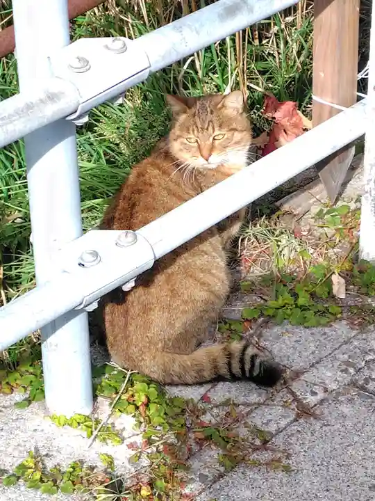 函館護國神社(北海道)