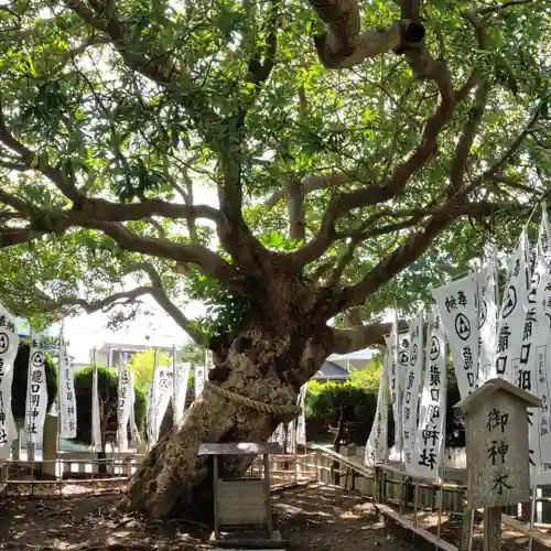 龍口明神社の庭園