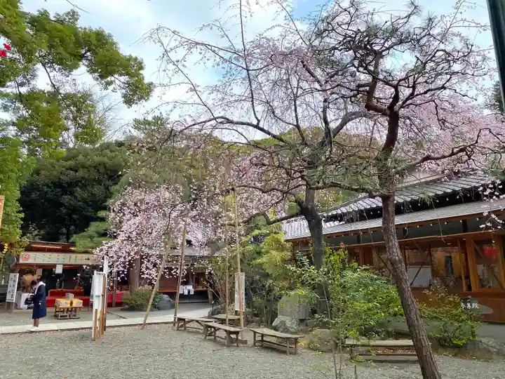 平塚八幡宮の自然
