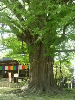 鑁阿寺(栃木県)