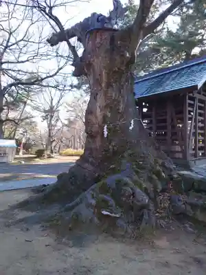 川中島古戦場八幡社(長野県)