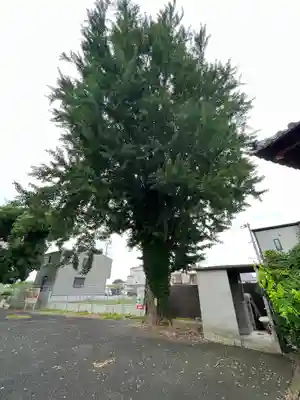 誕生寺(京都府)