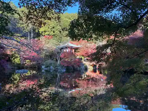 醍醐寺(京都府)