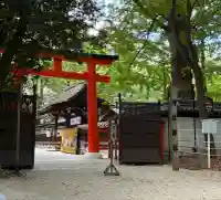 河合神社(鴨川合坐小社宅神社)の鳥居