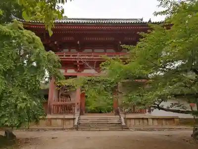 醍醐寺(京都府)