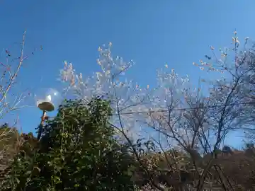 祝峰寺(愛知県)