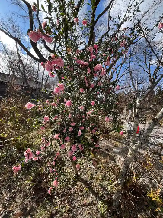 石都々古和気神社(福島県)