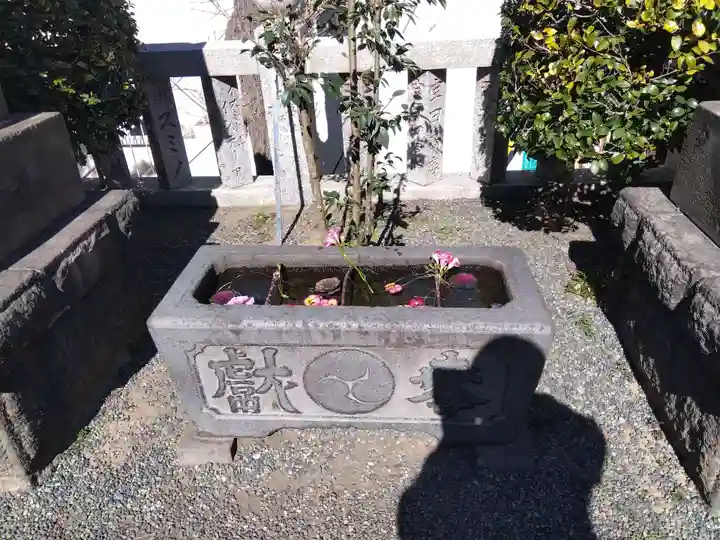 元町厳島神社の手水舎