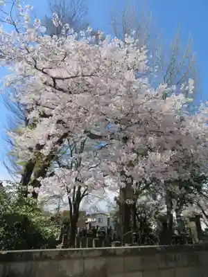 長寿院(福島県)