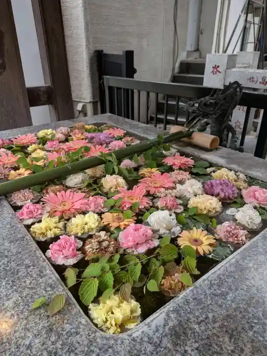 高円寺氷川神社(東京都)