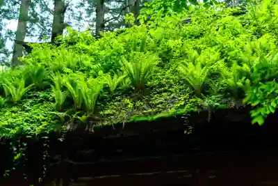 戸隠神社九頭龍社(長野県)