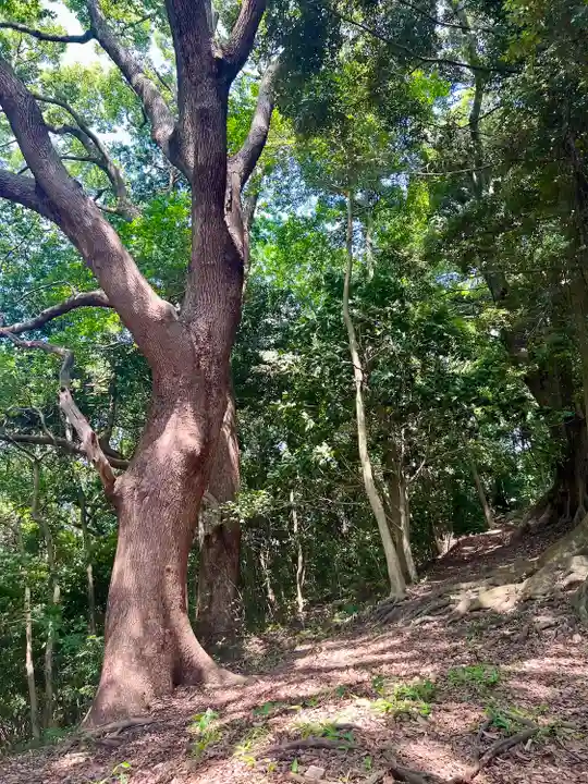 八幡神社(静岡県)