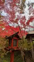 鍬山神社(京都府)