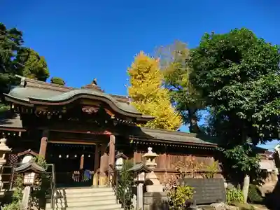 鳩ヶ谷氷川神社の本殿・本堂