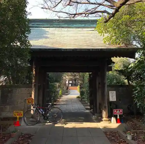 光琳寺の山門