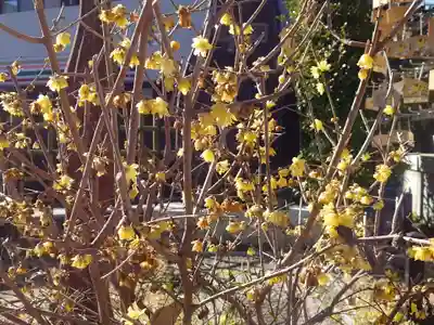 大國神社(東京都)