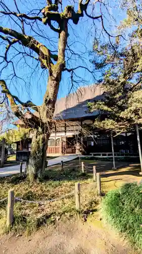 茂林寺の本殿・本堂