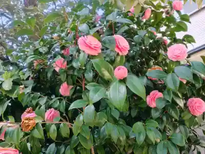 秋葉神社の{uncategorized: "未分類", other: "その他", undefined: "問題あり", building: "その他建物", grave: "お墓", sacred_gate: "鳥居", guardian: "狛犬", statue: "像", buddha: "仏像", history: "歴史", nature: "自然", garden: "庭園", animal: "動物", pagoda: "塔", temizu: "手水舎", mountain_gate: "山門・神門", sanctuary: "本殿・本堂", subordinate: "末社・摂社", art: "芸術", scenery: "景色", jizo: "地蔵", ema: "絵馬", goshuin: "御朱印", omikuji: "おみくじ", items: "授与品その他", amulet: "お守り", goshuincho: "御朱印帳", eats: "食事", festival: "お祭り", votive_dance: "神楽", shichigosan: "七五三参", wedding: "結婚式", experience: "体験その他", initially: "初詣", around: "周辺", anti_infection: "感染症対策"}