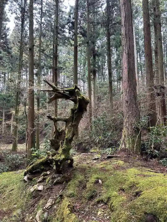 御岩神社(茨城県)