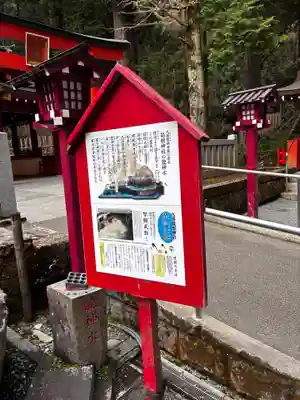 箱根神社の歴史