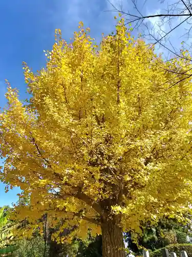 上合寺(福島県)