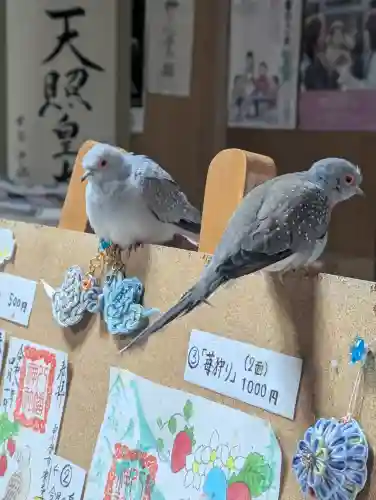 八幡神社の{uncategorized: "未分類", other: "その他", undefined: "問題あり", building: "その他建物", grave: "お墓", sacred_gate: "鳥居", guardian: "狛犬", statue: "像", buddha: "仏像", history: "歴史", nature: "自然", garden: "庭園", animal: "動物", pagoda: "塔", temizu: "手水舎", mountain_gate: "山門・神門", sanctuary: "本殿・本堂", subordinate: "末社・摂社", art: "芸術", scenery: "景色", jizo: "地蔵", ema: "絵馬", goshuin: "御朱印", omikuji: "おみくじ", items: "授与品その他", amulet: "お守り", goshuincho: "御朱印帳", eats: "食事", festival: "お祭り", votive_dance: "神楽", shichigosan: "七五三参", wedding: "結婚式", experience: "体験その他", initially: "初詣", around: "周辺", anti_infection: "感染症対策"}