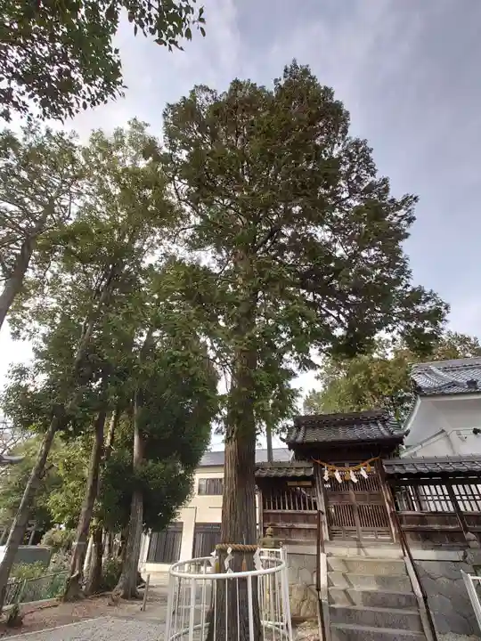 勝手神社(下林町)の自然