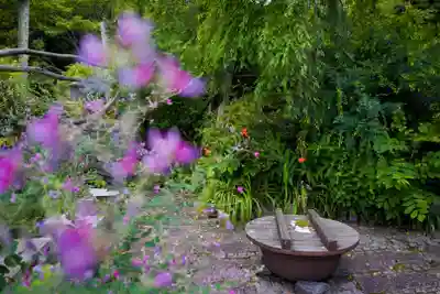 竜昌寺のその他建物