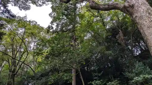 法華堂跡（源頼朝墓・北条義時墓）の自然