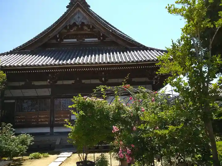 おふさ観音(観音寺)の本殿・本堂