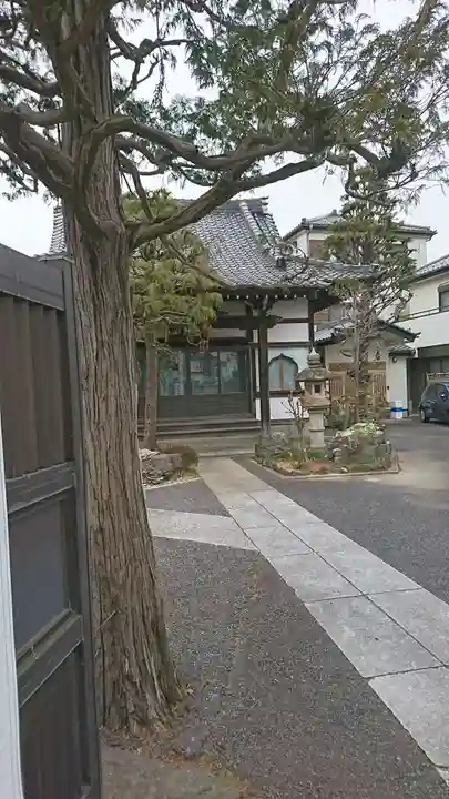 晴立山本蔵寺の本殿・本堂