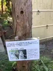 東海市熊野神社の建物その他