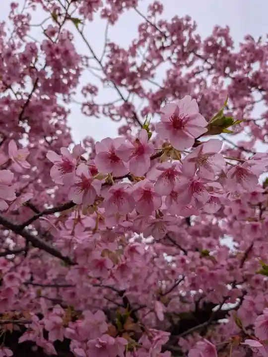 新宿下落合氷川神社(東京都)