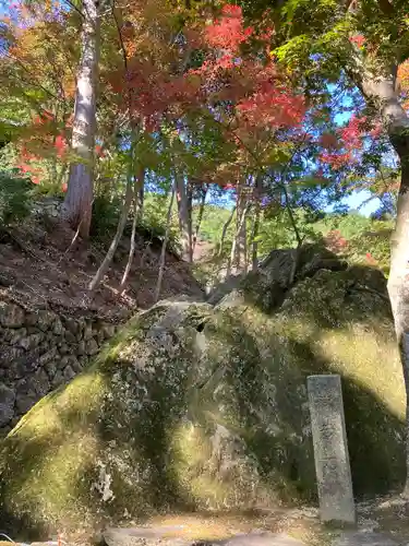 瓦屋寺の庭園