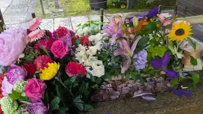 勝林寺(京都府)