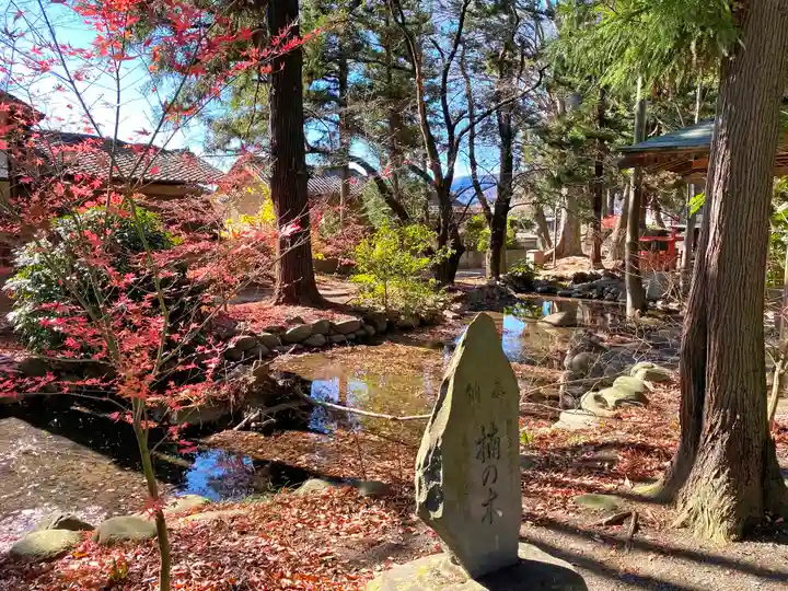 大井俣窪八幡神社(山梨県)