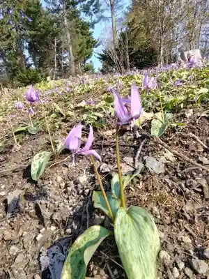 稲荷神社(北海道)