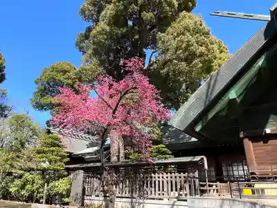 所澤神明社(埼玉県)