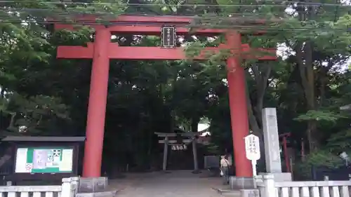 世田谷八幡宮の鳥居