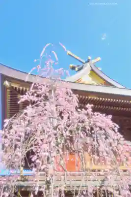 湯島天満宮(東京都)