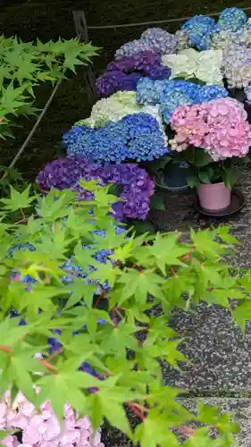勝林寺(京都府)