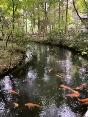 平林寺(埼玉県)