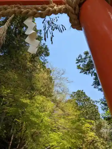 大田神社（賀茂別雷神社境外摂社）(京都府)