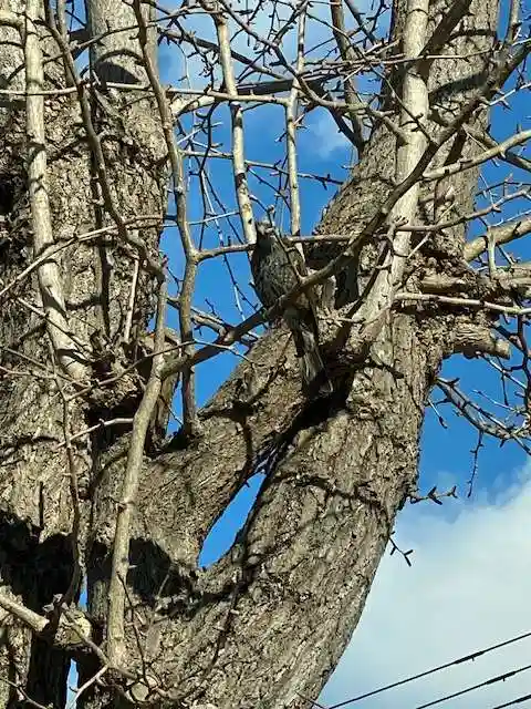 阿邪訶根神社(福島県)