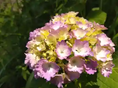 大安禅寺(福井県)
