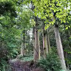 木幡山隠津島神社(二本松市)の自然