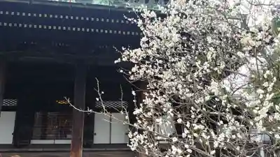 知恩院のその他建物