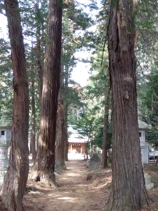 十社神社(埼玉県)