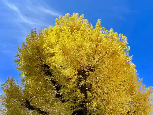 福王山  慈眼寺の自然